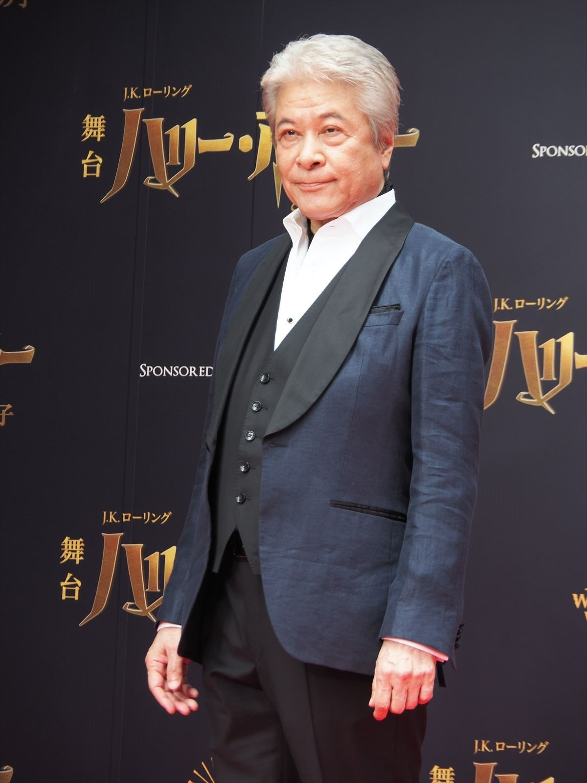 向井理、綾瀬はるから舞台『ハリー・ポッター』レッドカーペットに登場