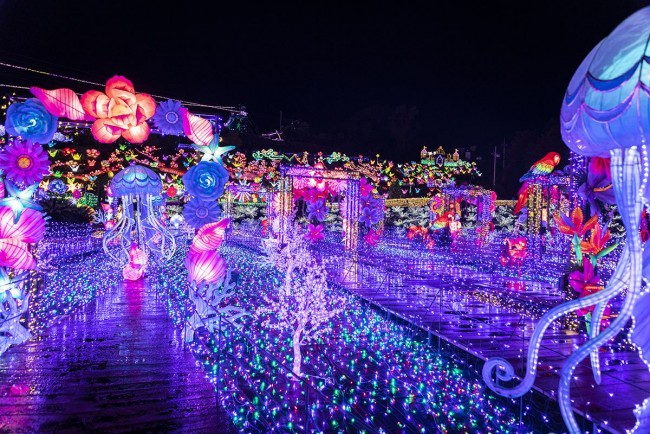 静岡・伊豆ぐらんぱる公園で“体験型イルミネーション”開催へ！　11．11から期間限定