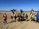 11月12日放送『朝だ！生です旅サラダ』で鳥取県を旅した純烈