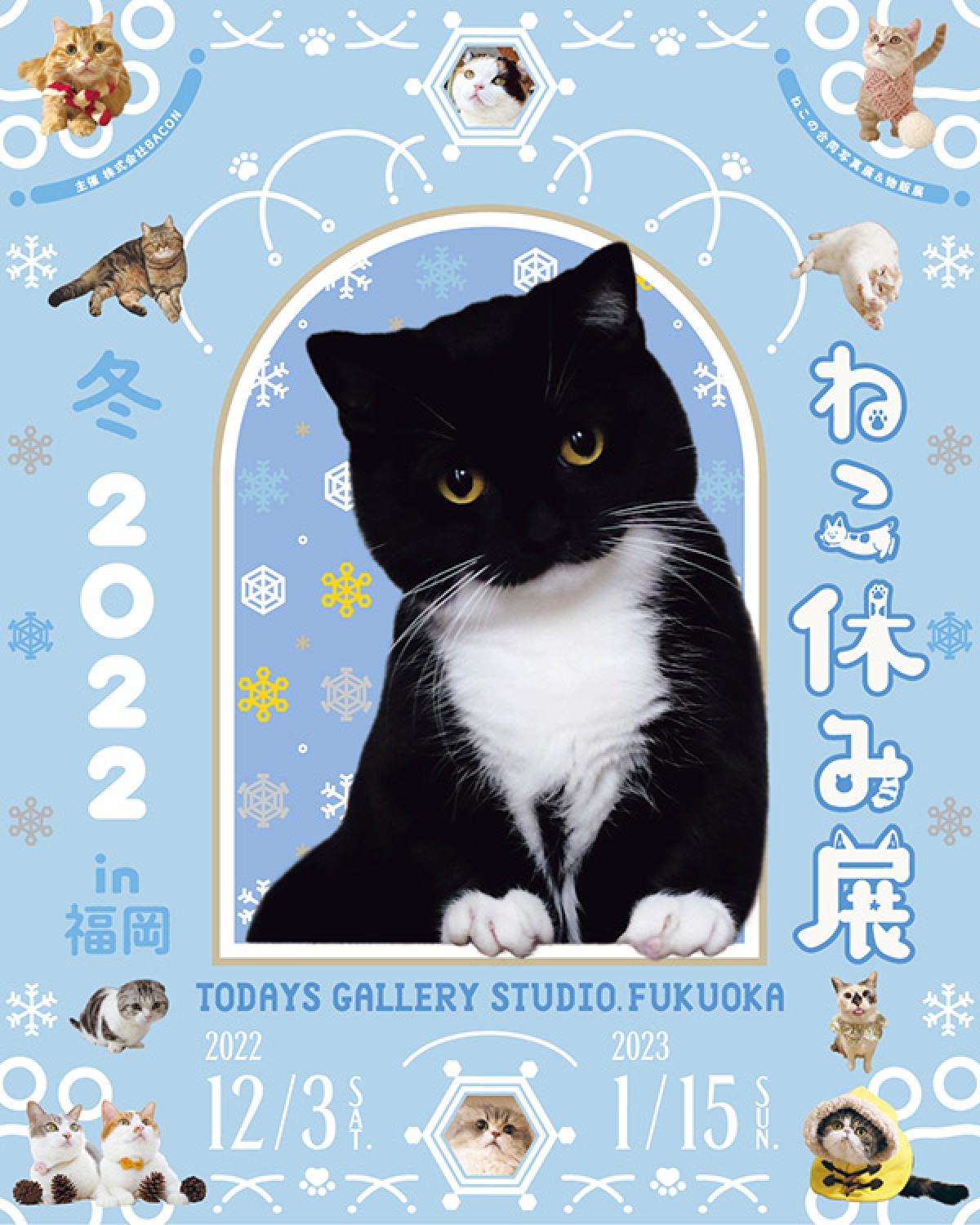 福岡「ねこ休み展」20221117