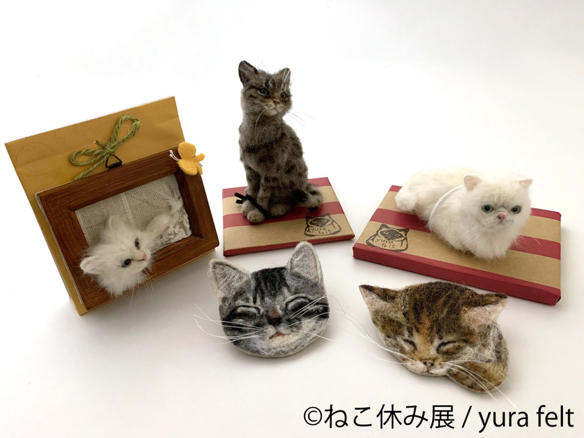 福岡「ねこ休み展」20221117