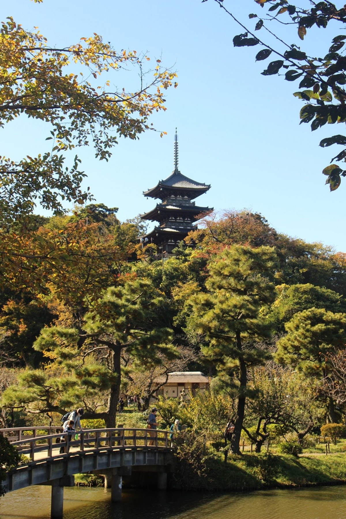 横浜プレスツアー　三溪園　20221116