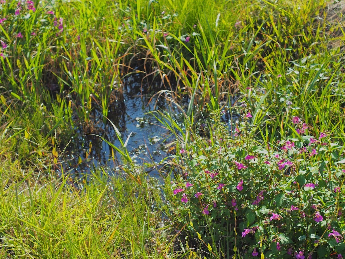 「ザ ノマド 八ヶ岳」