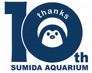 すみだ水族館、ペンギンの赤ちゃん、さらに2羽が仲間入り