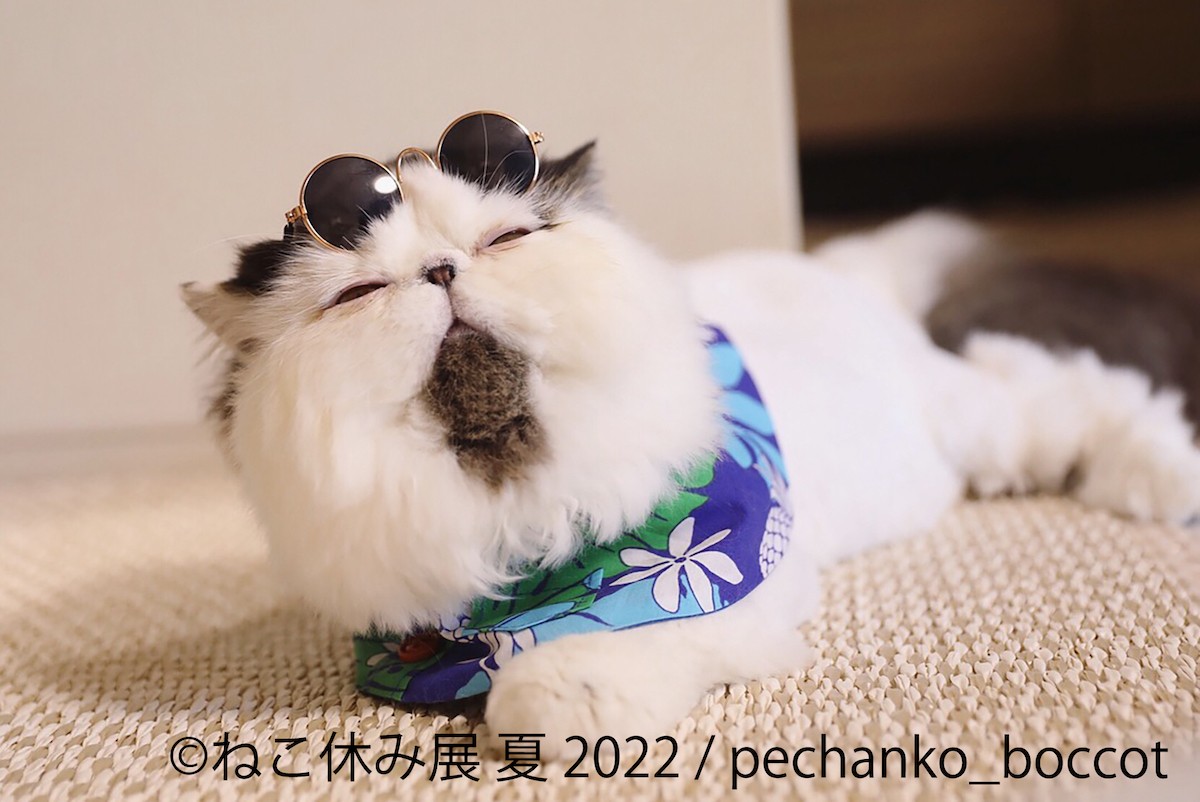 「ねこ休み展」