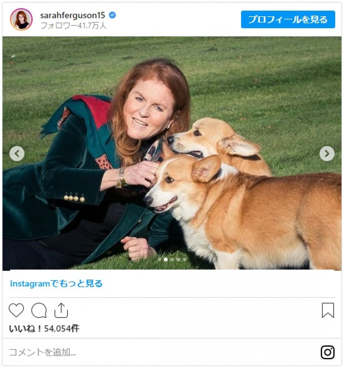 エリザベス女王のコーギーを引き取ったサラ・ファーガソン、愛犬たちとの写真公開