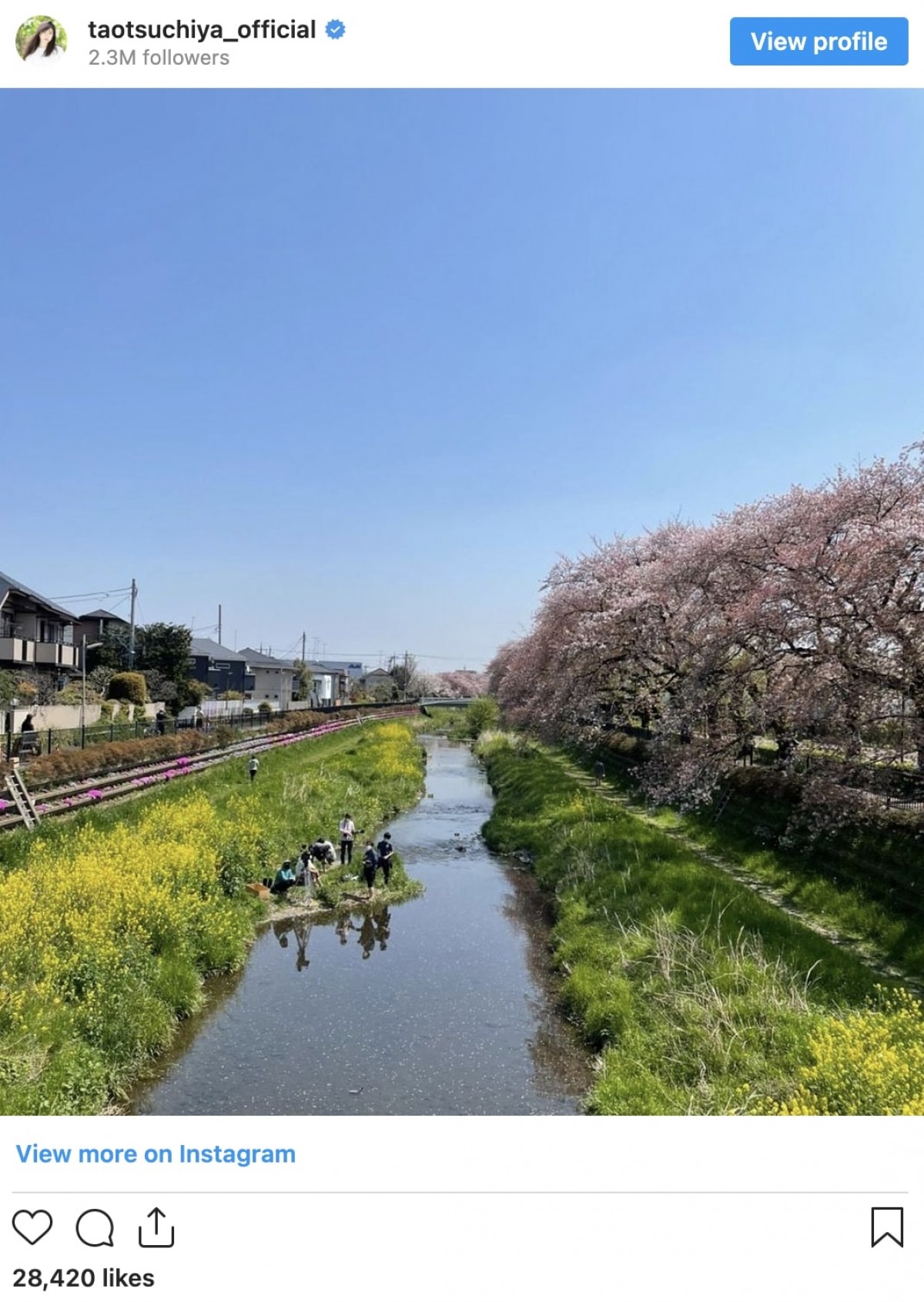 土屋太鳳『やんごとなき一族』で共演の上島竜兵さんへの思い「この感謝の気持ちは、永遠に変わりません」