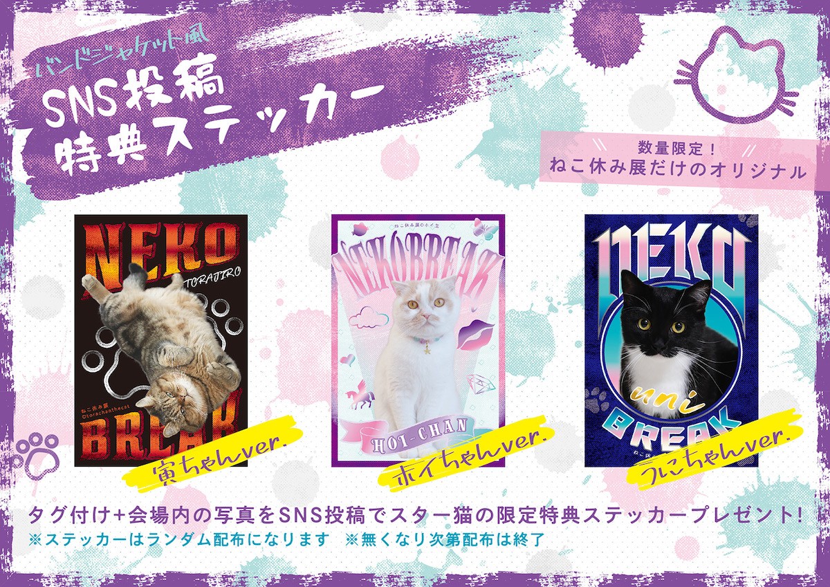 「ねこ休み展」