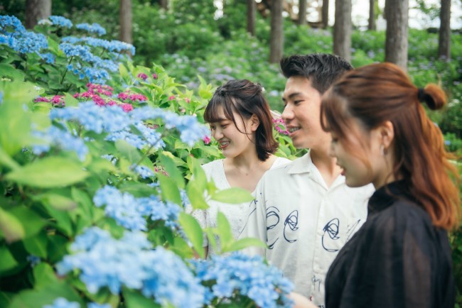 「あじさい祭」三島スカイウォークで開催！ “日本一長い歩行者用吊橋”で絶景を満喫