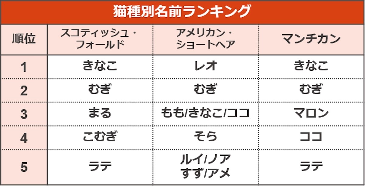 ペットの名前ランキング2022