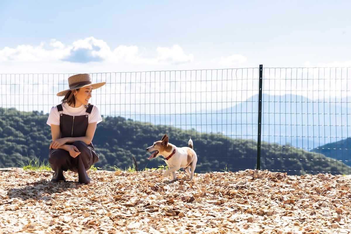 長野県「SORA GLAMPING RESORT」に新グランピングエリア