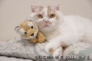 20220127_ねこ休み展 冬 2022