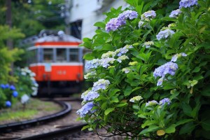 “雨の日も美しい絶景スポット”ランキング発表！　1位は鹿児島の世界自然遺産