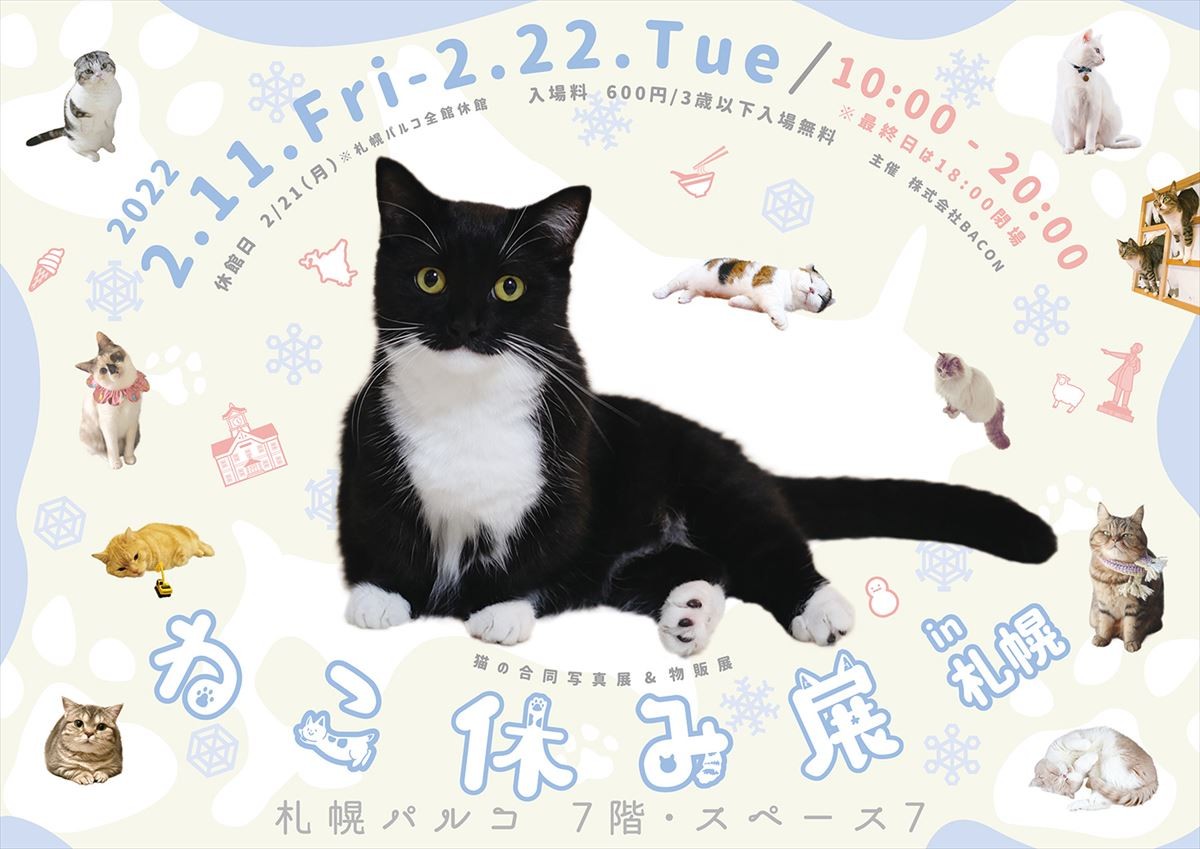 20220127_ねこ休み展 冬 2022