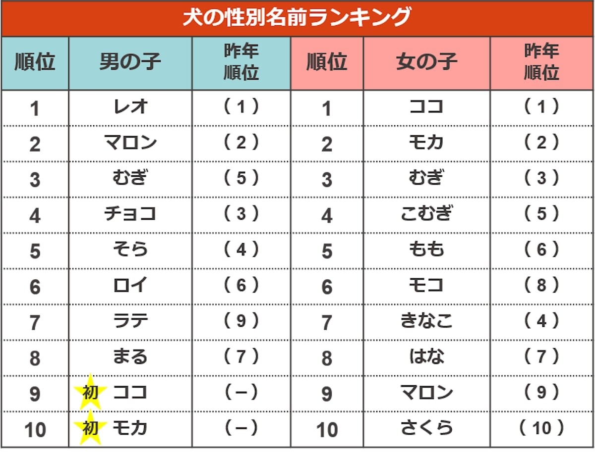 ペットの名前ランキング2022