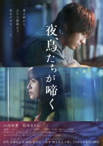 映画『夜、鳥たちが啼く』ポスタービジュアル