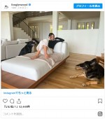 自宅で犬たちとくつろぐ長谷川潤 ※「長谷川潤」インスタグラム