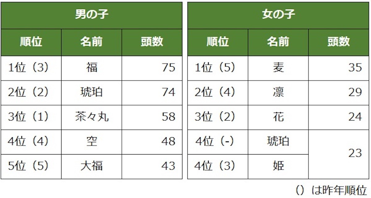 「猫の名前＆人気猫種ランキング」