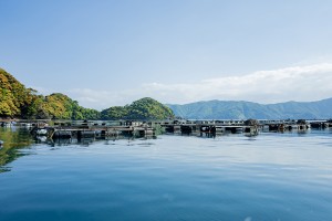 20230516「若狭佳日」