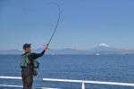 移住した湘南の海で釣りを楽しむつるの剛士　『つるの剛士、今日、ナニつるの？』（釣りビジョン）より