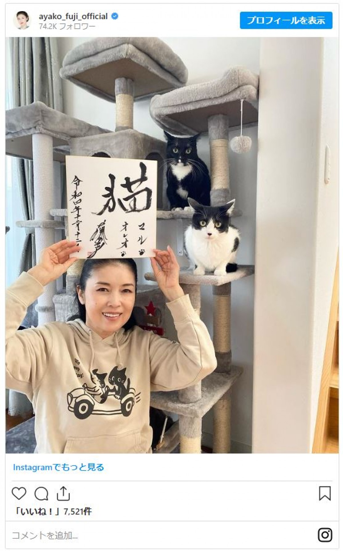 広瀬すずに石田ゆり子も　“猫大好き芸能人”の仰天エピソード【2月22日は猫の日】