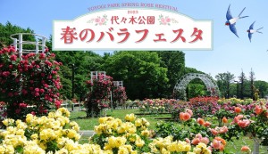 代々木公園で「春のバラフェスタ」開催へ！　68種700株もの“春バラ”が集結