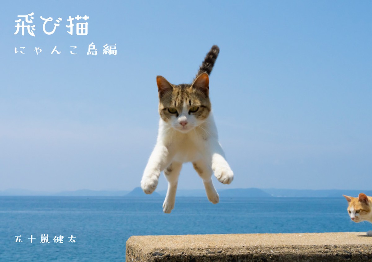 神戸で“ジャンプする猫”の写真展開催へ！　躍動感ある猫の姿など約30点を展示