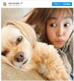 【写真】桐谷美玲、愛犬の衝撃的な寝顔を披露