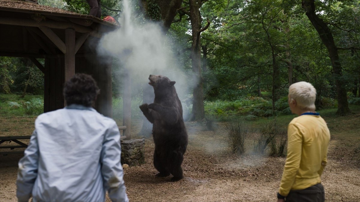 “最高にキマッたクマさん”『コカイン・ベア』「ハチミツの日」に場面カット一挙公開