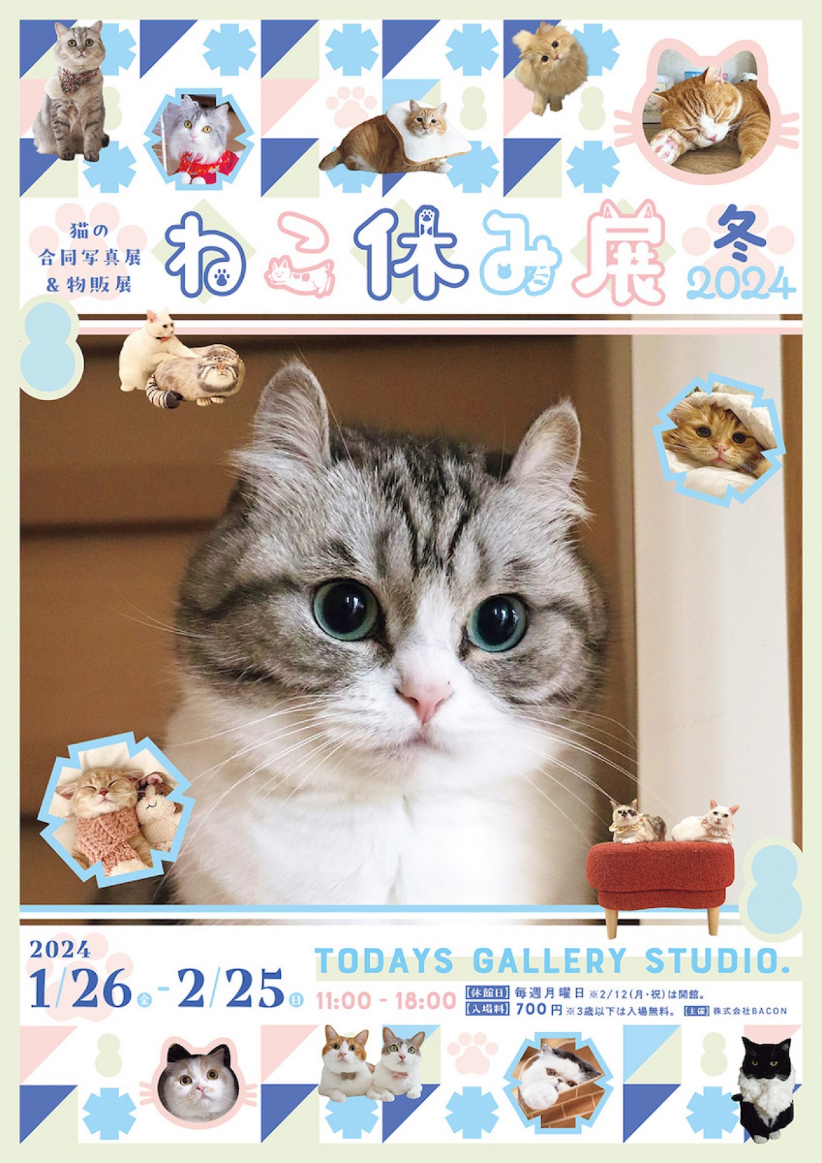 231218_「ねこ休み展」2024年初の“冬の本祭”開催へ！