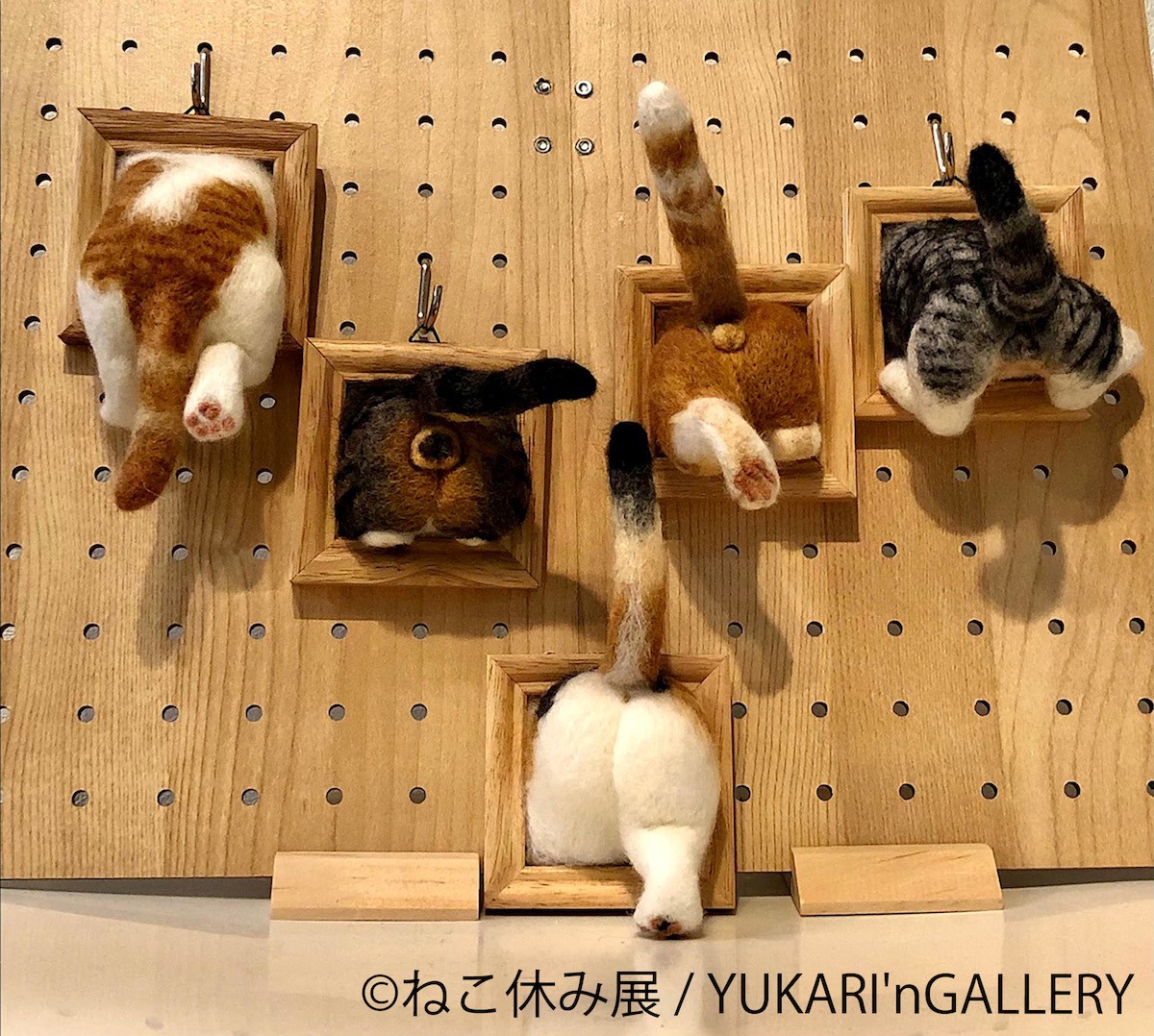 230621_ねこ休み展