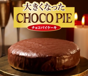 20231120 大きくなったチョコパイ 