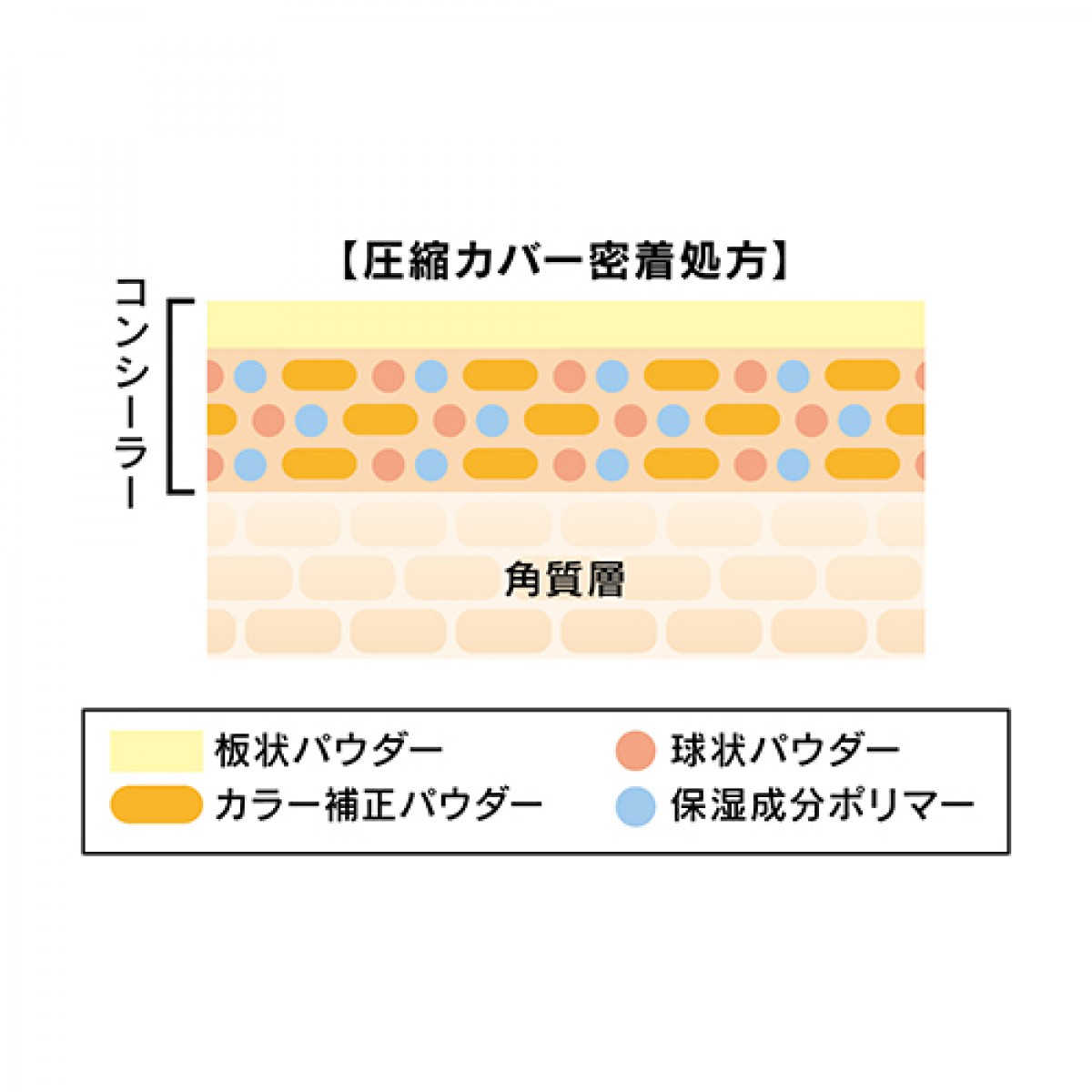 230227_“プロカバー”新商品