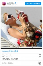 パリス・ヒルトンの愛犬ハラジュクビッチ、23歳で天国へ　※「パリス・ヒルトン」インスタグラム