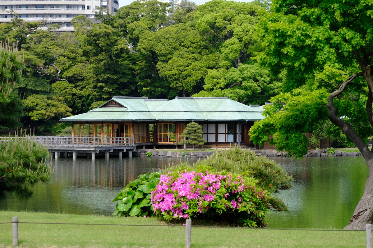 20230417「都立9庭園の無料開園」