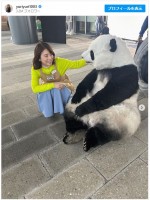 【写真】「本物かと思った！」石田ゆり子、“パンダ”とたわむれる姿に反響