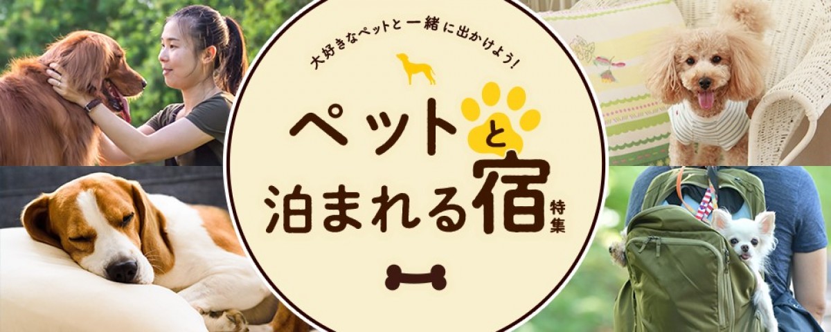 じゃらん、ペットと泊まれる宿5選を紹介！　愛犬と一緒に入れる露天風呂やドッグラン完備のホテルなど