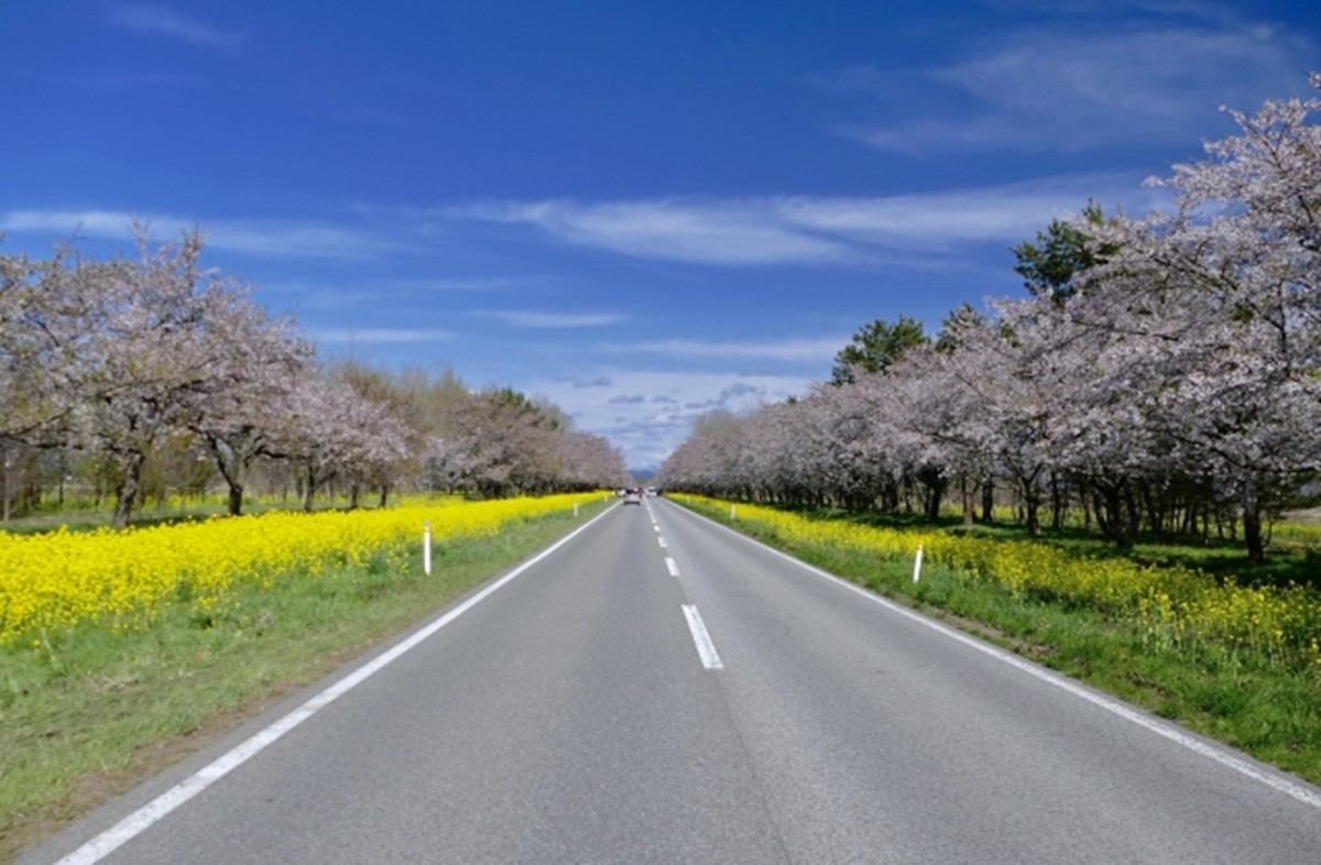 20231221「走りたい道路ランキング 東日本編」