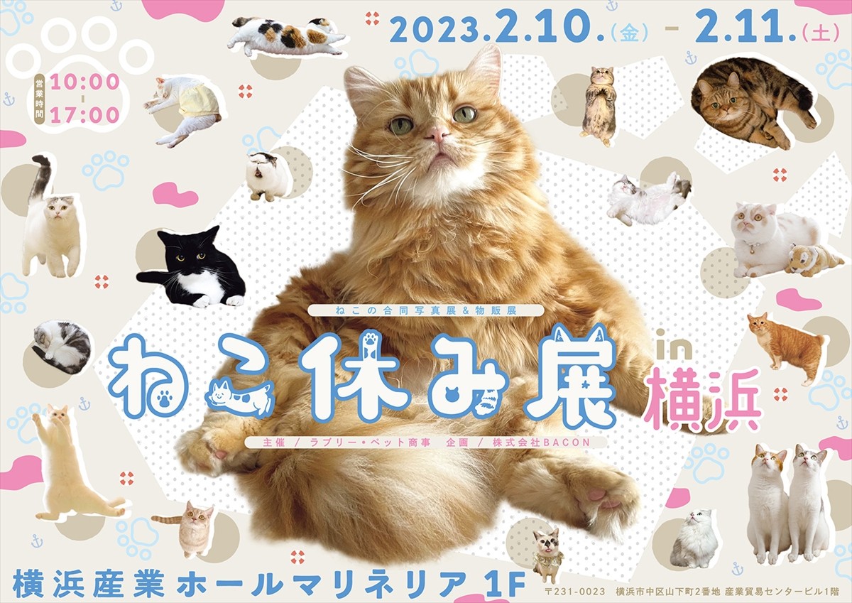 20230119_「ねこ休み展 2023 in 横浜」