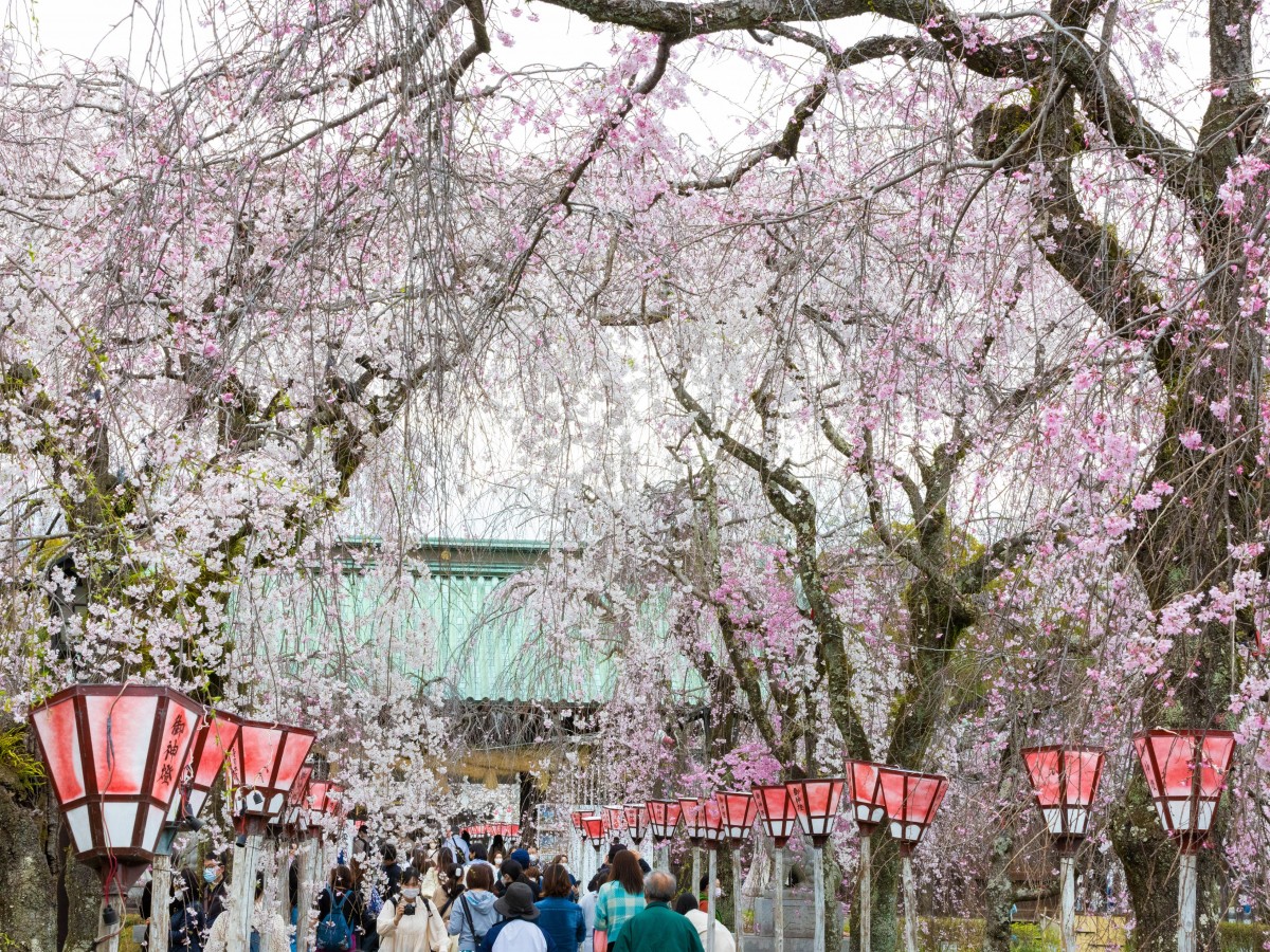 20230324_静岡絶景スポット