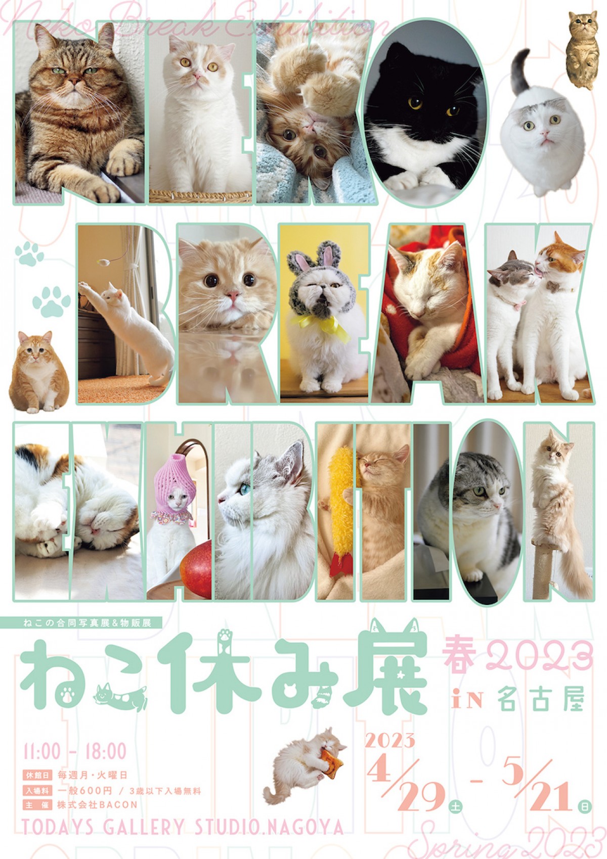 230410_ねこ休み展