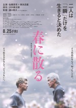 【動画】佐藤浩市と横浜流星の臨場感あふれるミット打ち！　映画『春に散る』特報