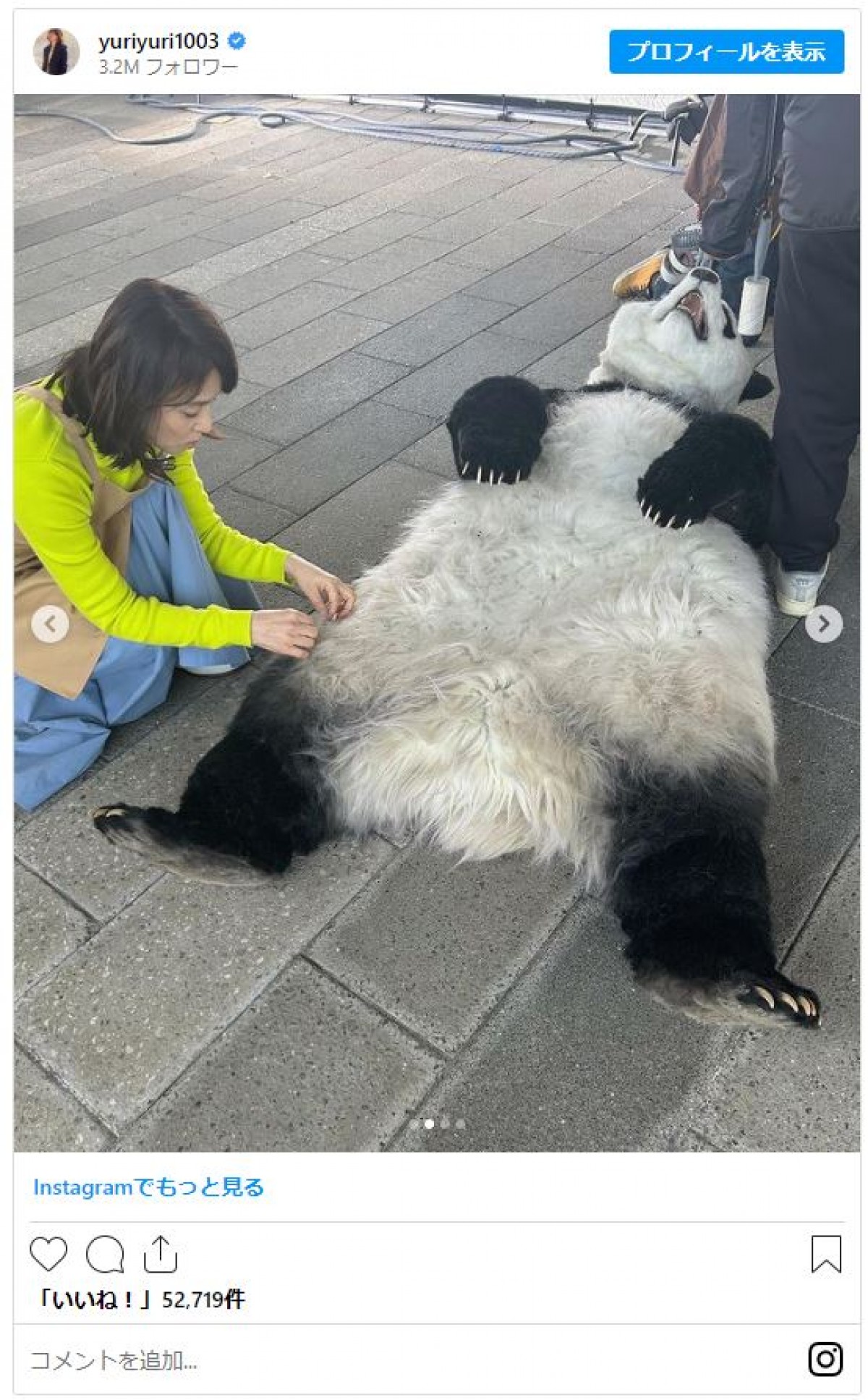 「本物かと思った！」石田ゆり子、“パンダ”とたわむれる姿に反響