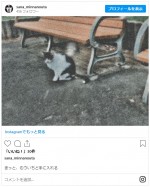 意味深な写真とメッセージを続々と投稿　※「さな」インスタグラム