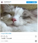 アニャがシェアした写真　※「アニャ・テイラー＝ジョイ」インスタグラム