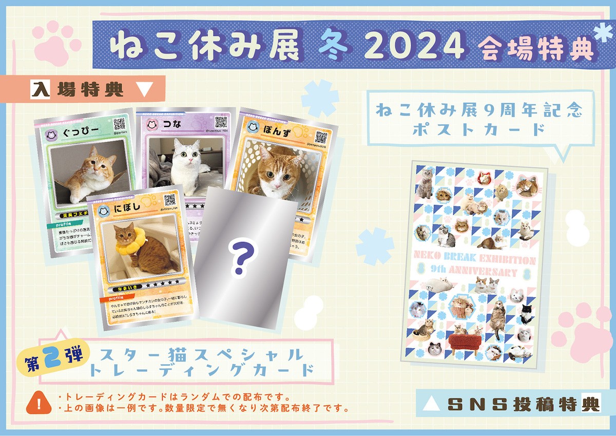 231218_「ねこ休み展」2024年初の“冬の本祭”開催へ！