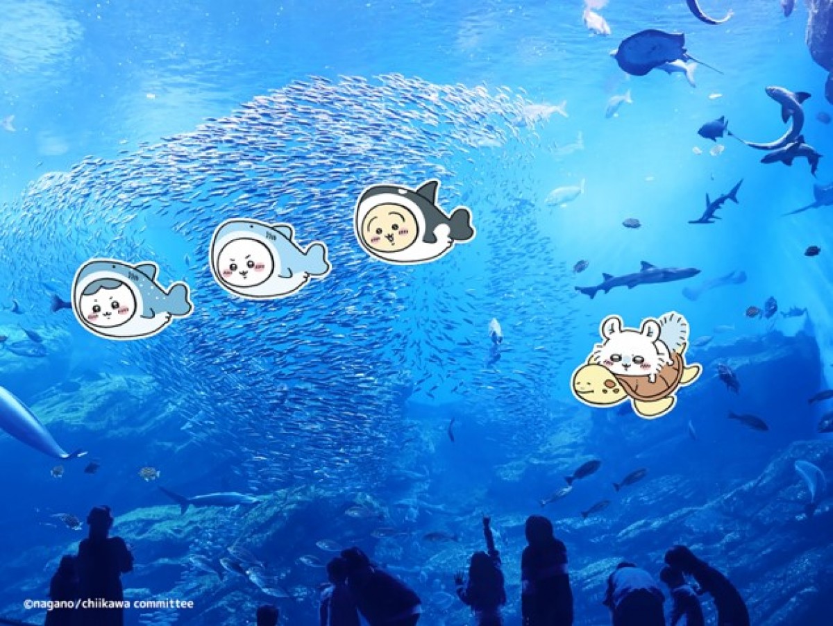 20230410_ちいかわ水族館 in 仙台うみの杜水族館