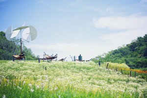 神戸布引ハーブ園「春の収穫祭」開催！　4日間限定でカモミールの摘み取り体験など実施