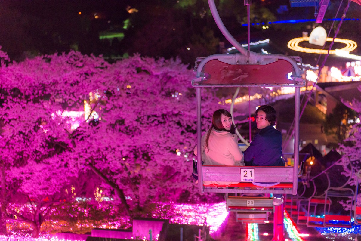 20240312「さがみ湖桜まつり」