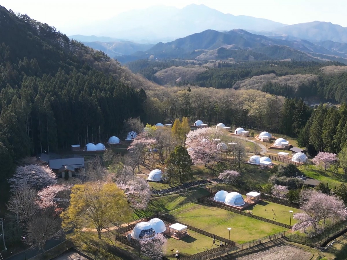 20240322 いちご狩り